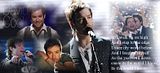 DavidCookBanner.jpg image by alwilliam68